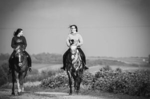 Pferdefotografie Fotograf Burgenland Wien Niederösterreich Tierfotografie